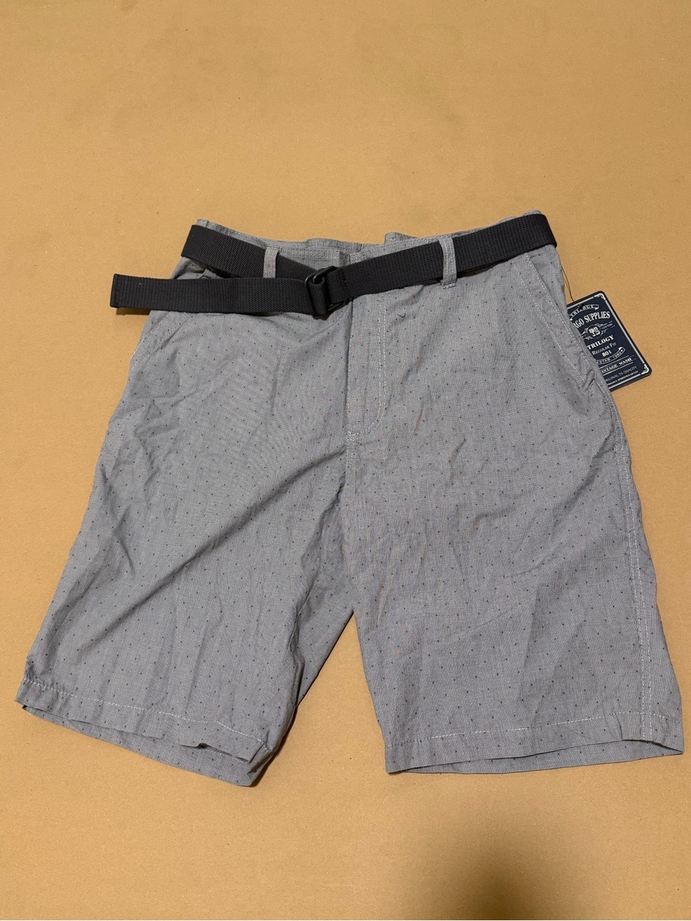 Trilogy Men's Gray Dot Flat Front Casual Shorts